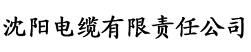 深夜视频电缆厂logo